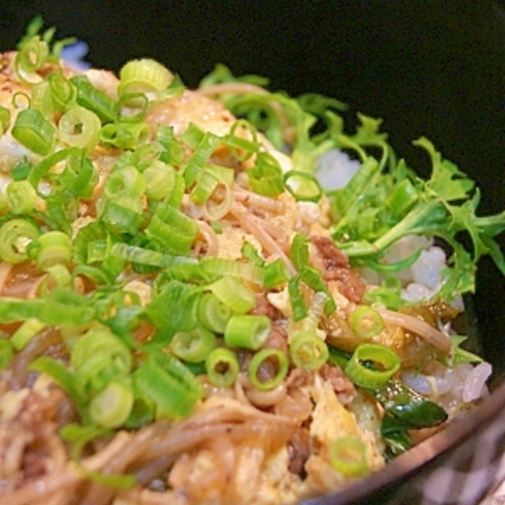 すき焼きの次の日は…すき焼き卵とじ丼